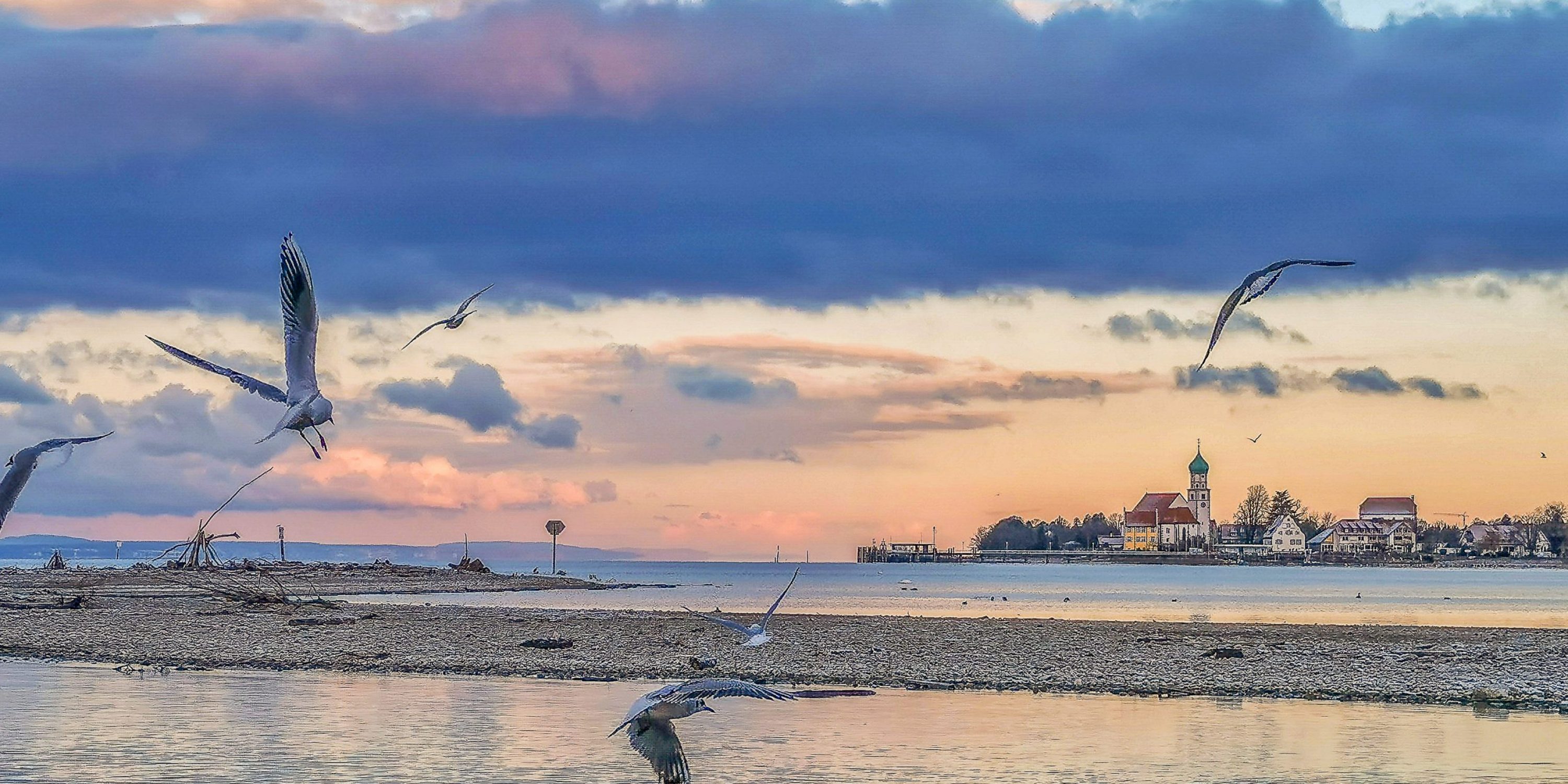 IMG_20230226_073937-01-1